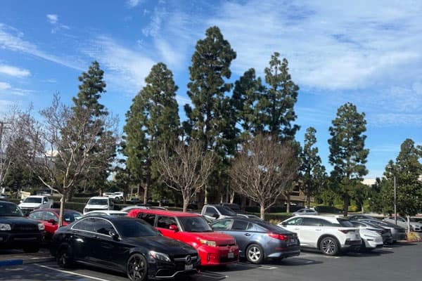 Parking lot at Advanced Pain Medical Group's Culver City, CA, location