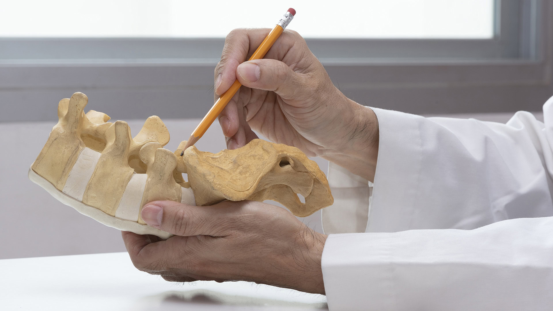 Doctor explaining lumbar spine anatomy with model