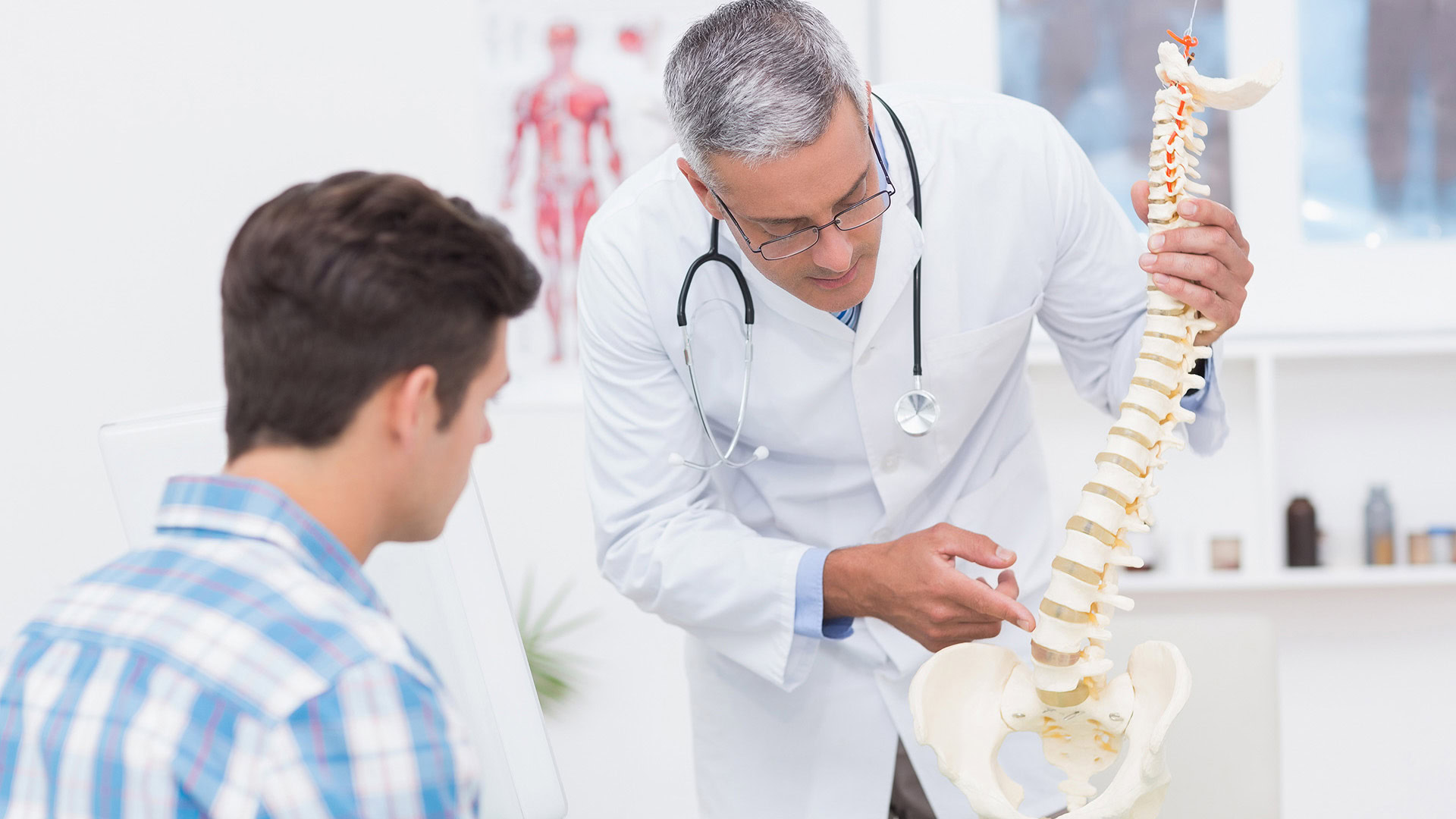 Doctor explaining spine model to patient in medical office